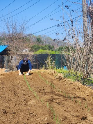 권병☆님의 파 · 영농일지 작성글 사진