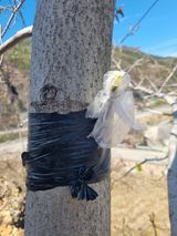 김용대님의 작성글 사진