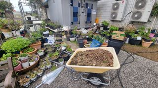 최강K님의 작성글 사진