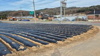 김용훈 님의 감자 · 영농일지 작성글 사진