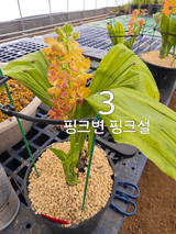 이성규 님의 작성글 사진