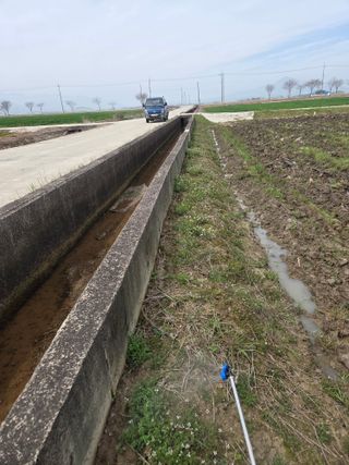 파인cool님의 벼 · 영농일지 작성글 사진