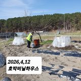 시민농장님의 작성글 사진