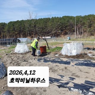 시민농장님의 기타작물 · 영농일지 작성글 사진