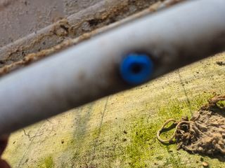 늘햇살팜 님의 기타작물 · 영농일지 작성글 사진