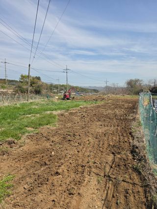 양파12861님의 마늘 · 영농일지 작성글 사진