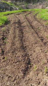 팜모닝 기타작물·영농일지 게시글 이미지