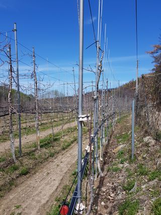 의성,군위 나상덕님의 기타작물 · 영농일지 작성글 사진