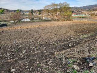 루라121(임동구)님의 기타작물 · 영농일지 작성글 사진