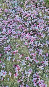 최근만님의 작성글 사진