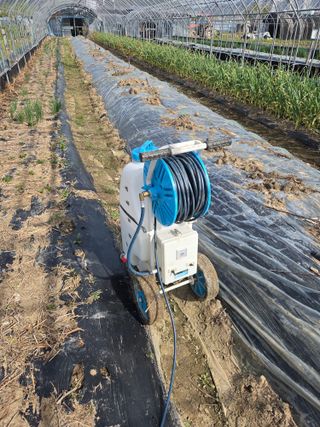 정영석님의 복숭아 · 영농일지 작성글 사진