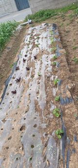 道泉님의 작성글 사진