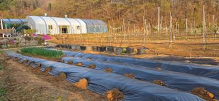 낙원101님의 기타작물 · 영농일지 작성글 사진