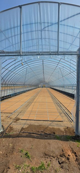 강연수님의 벼 · 영농일지 작성글 사진