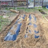 팜모닝 기타작물·영농일지 게시글 이미지