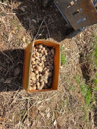 김정은님의 기타작물 · 영농일지 작성글 사진