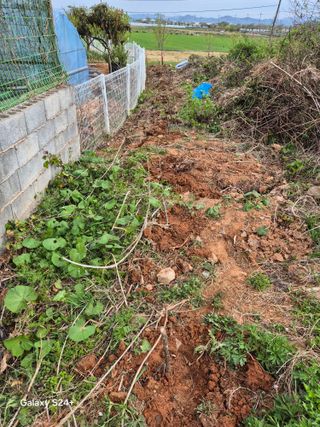 진문거사님의 기타작물 · 영농일지 작성글 사진