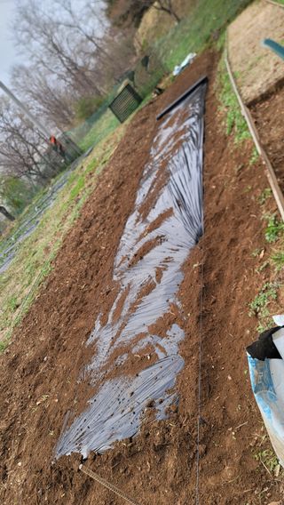 서초농원님의 기타작물 · 영농일지 작성글 사진