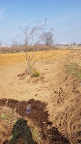 심상화님의 작성글 사진