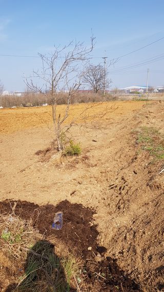 심상화님의 기타작물 · 영농일지 작성글 사진