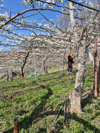 신인농원님의 작성글 사진