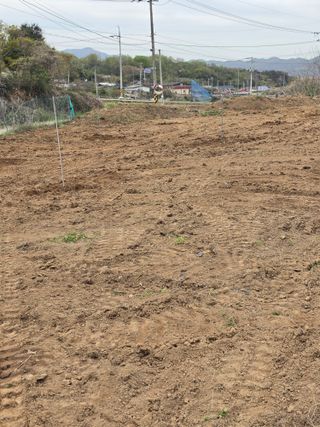 양파12861님의 마늘 · 영농일지 작성글 사진