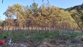 수기님의 기타작물 · 영농일지 작성글 사진