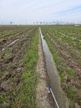 파인cool님의 작성글 사진