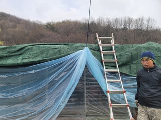 하태훈님의 기타작물 · 영농일지 작성글 사진