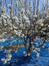 김영옥님의 작성글 사진