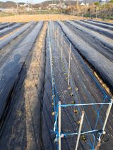 백영호님의 작성글 사진