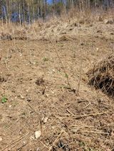 돈디아고(김덕수)님의 작성글 사진