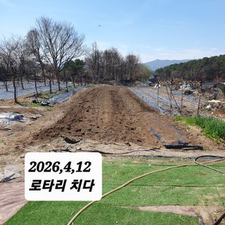 시민농장님의 기타작물 · 영농일지 작성글 사진