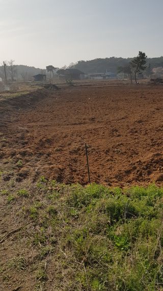 심상화님의 작성글 사진