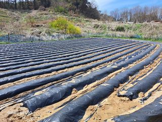 조연만님의 작성글 사진