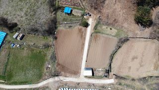 심기섭님의 마늘 · 영농일지 작성글 사진