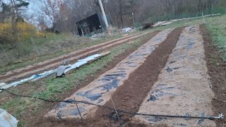 서초농원님의 기타작물 · 영농일지 작성글 사진