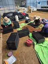 팜모닝 기타작물·영농일지 게시글 이미지