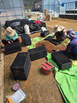 팜모닝회원 바이크농원님의 기타작물 · 영농일지 작성글 사진