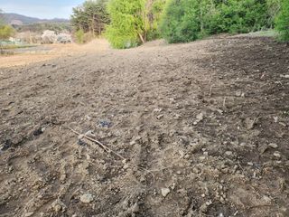 루라121(임동구)님의 기타작물 · 영농일지 작성글 사진