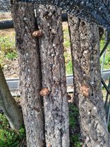 심기섭님의 작성글 사진