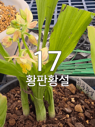 이성규 님의 기타작물 · 영농일지 작성글 사진