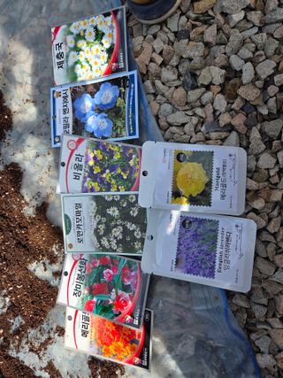 아홍팜님의 기타작물 · 영농일지 작성글 사진