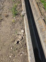 백현호님의 작성글 사진