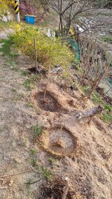 권혁렬님의 작성글 사진