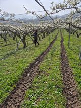 신인농원님의 작성글 사진