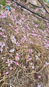 최근만님의 작성글 사진