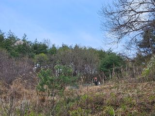 김준태님의 기타작물 · 영농일지 작성글 사진