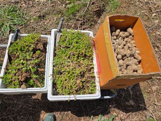 김정은님의 기타작물 · 영농일지 작성글 사진