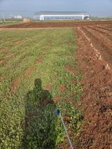 파인cool님의 작성글 사진